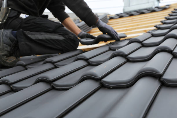 Best Solar Panel Roofing Installation  in Warren, IL